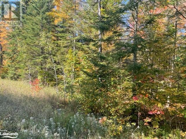 0 HALIBURTON LAKE Road