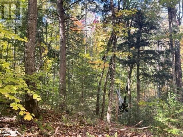 0 HALIBURTON LAKE Road