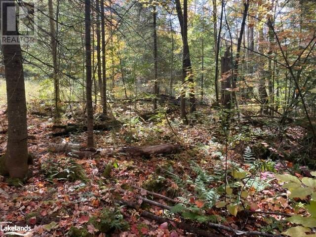 0 HALIBURTON LAKE Road
