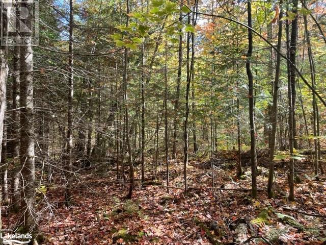 0 HALIBURTON LAKE Road
