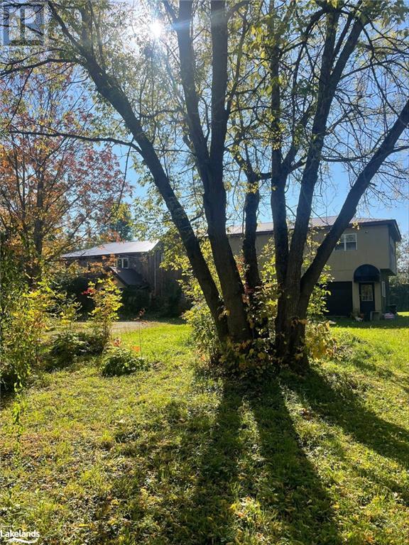 Listing 40495906 - Large Photo # 8
