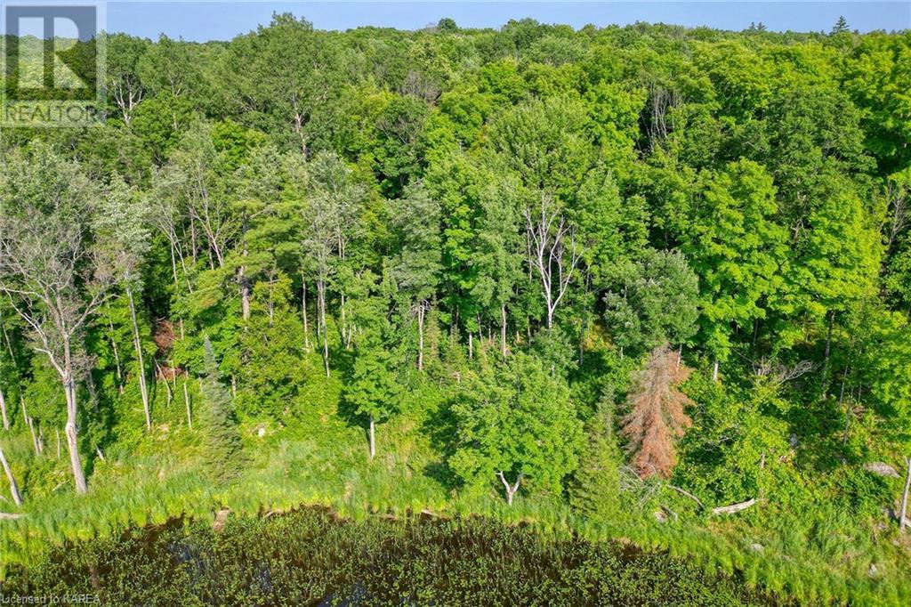 LOT 11-12 14,15 THUNDER Lane