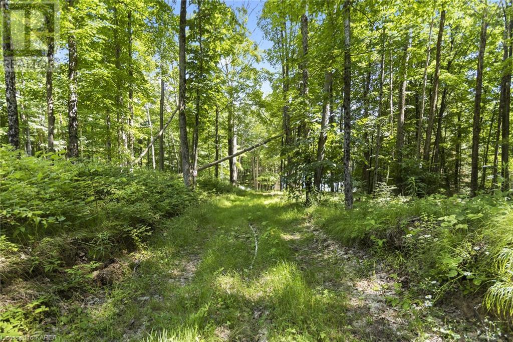 LOT 11,12 THUNDER Lane
