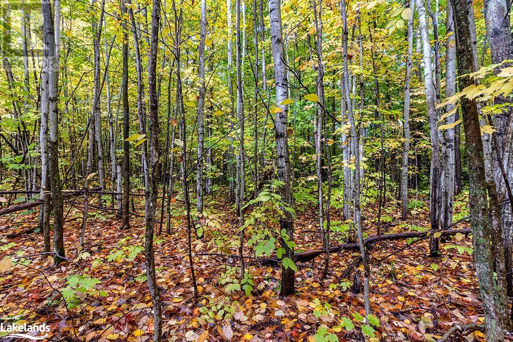 LOT 4 VOYAGEUR Drive