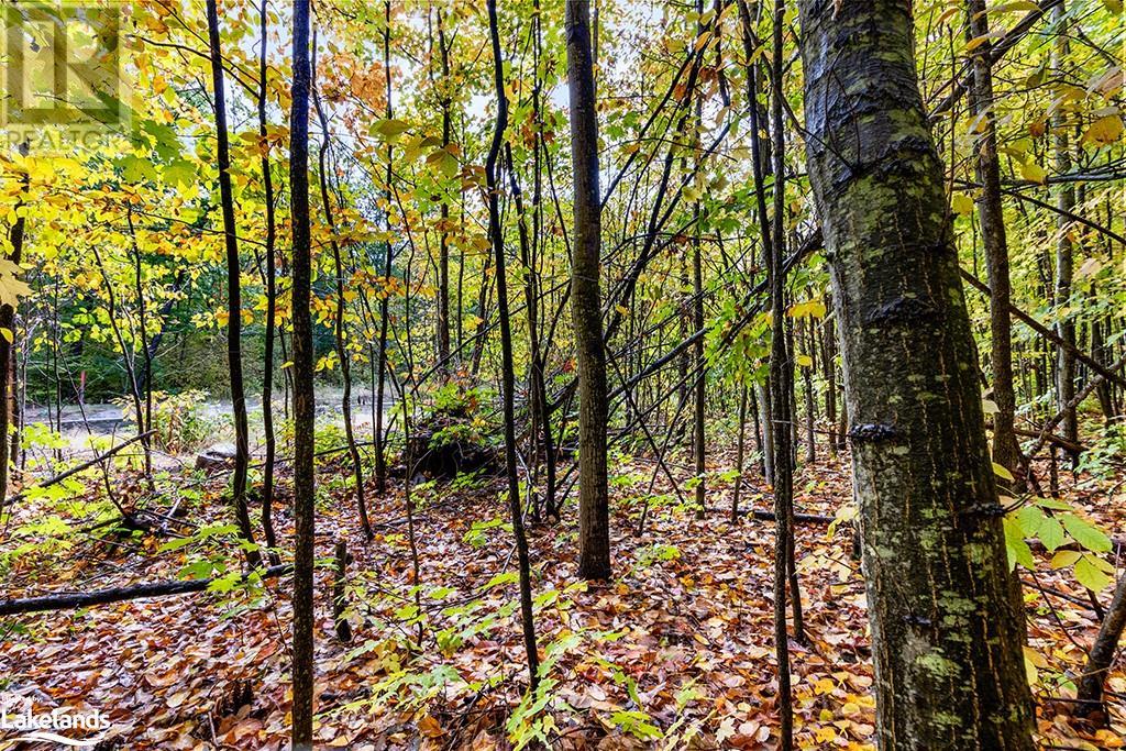 LOT 4 VOYAGEUR Drive