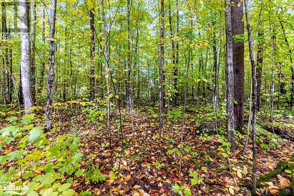 LOT 4 VOYAGEUR Drive