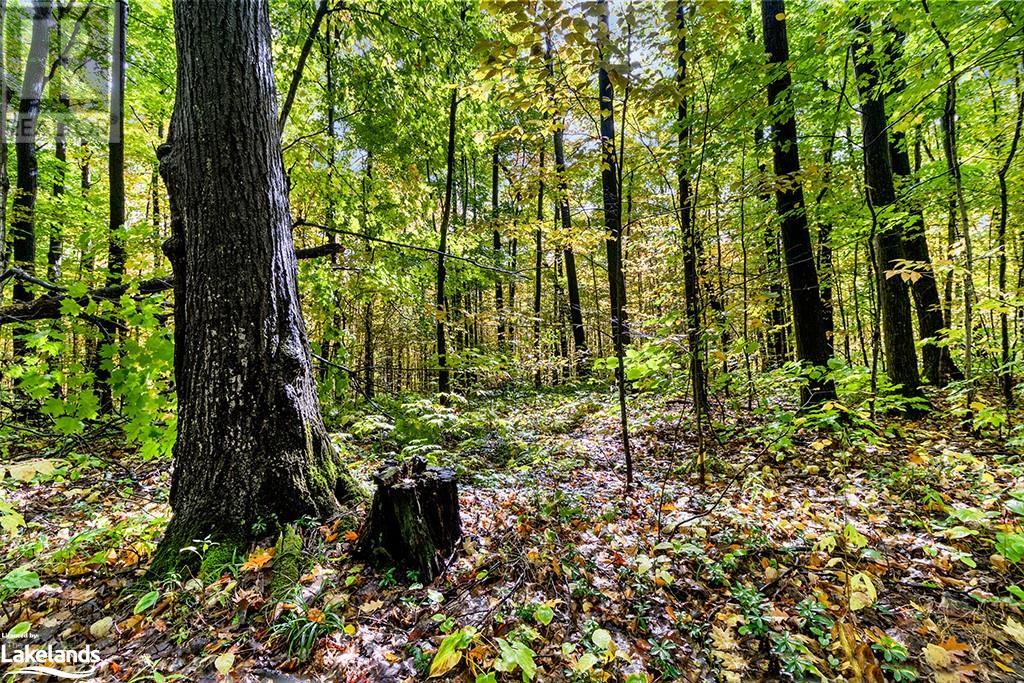 LOT 4 VOYAGEUR Drive