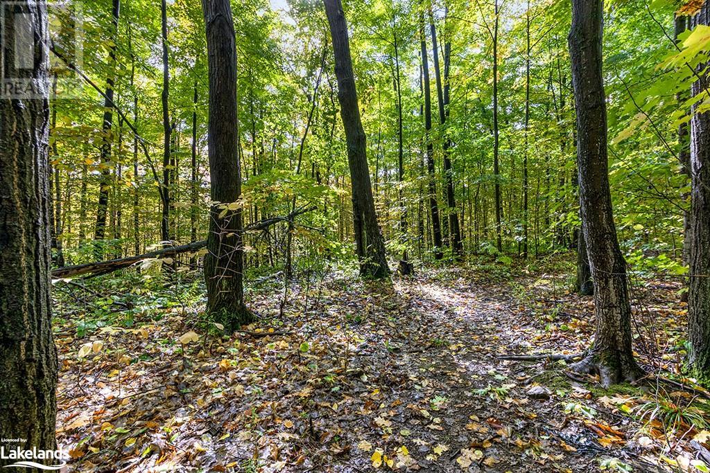 LOT 4 VOYAGEUR Drive