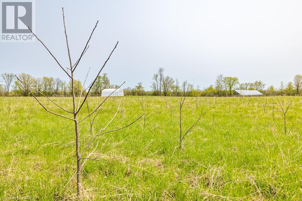2525 COUNTY ROAD 14