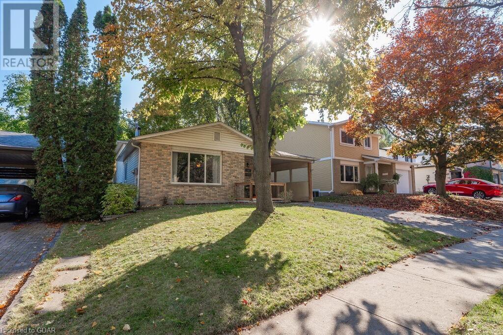 47 MAYFIELD Avenue
