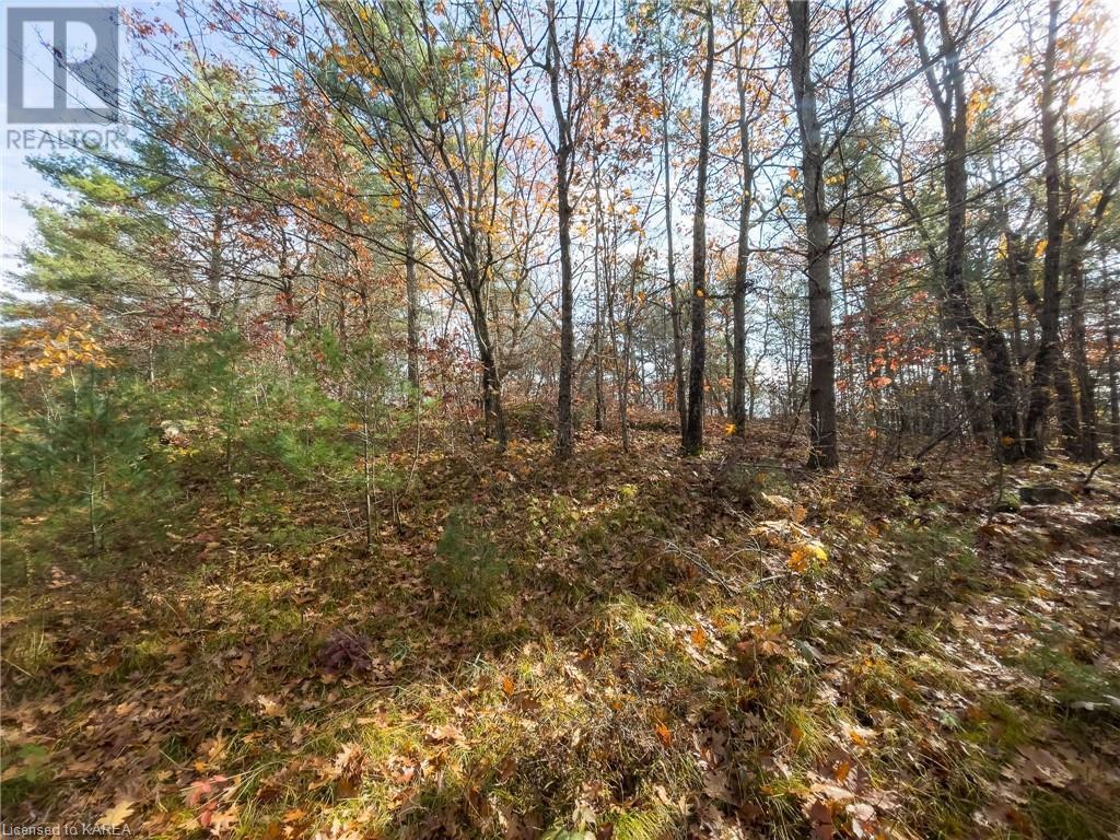 0 BEAVER CREEK Lane