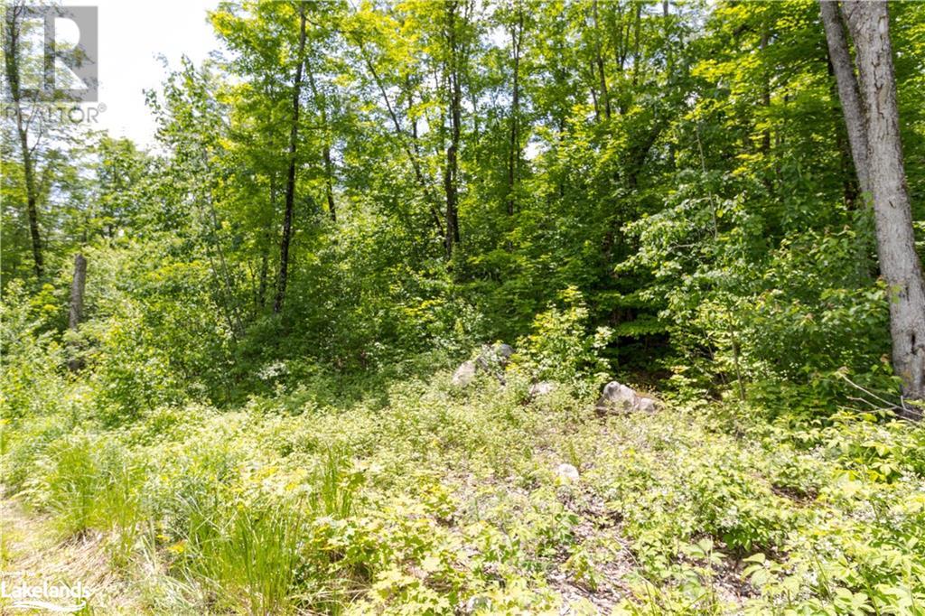 0 HALIBURTON LAKE Road