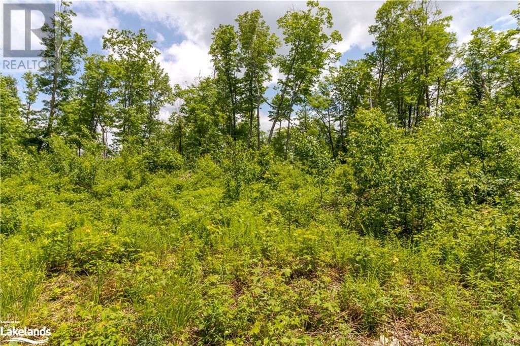 0 HALIBURTON LAKE Road