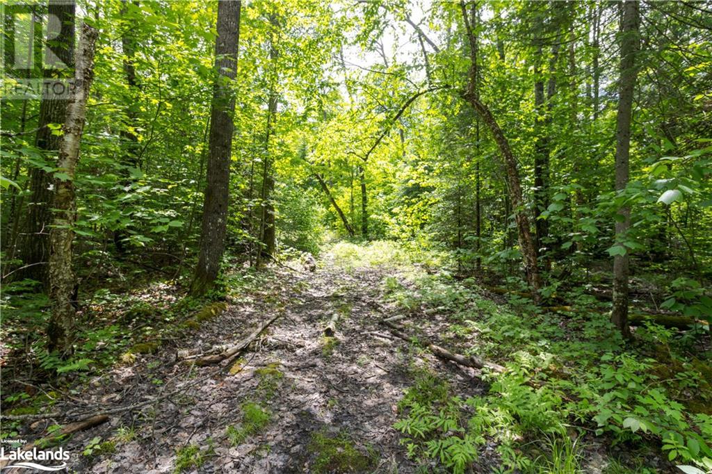 0 HALIBURTON LAKE Road