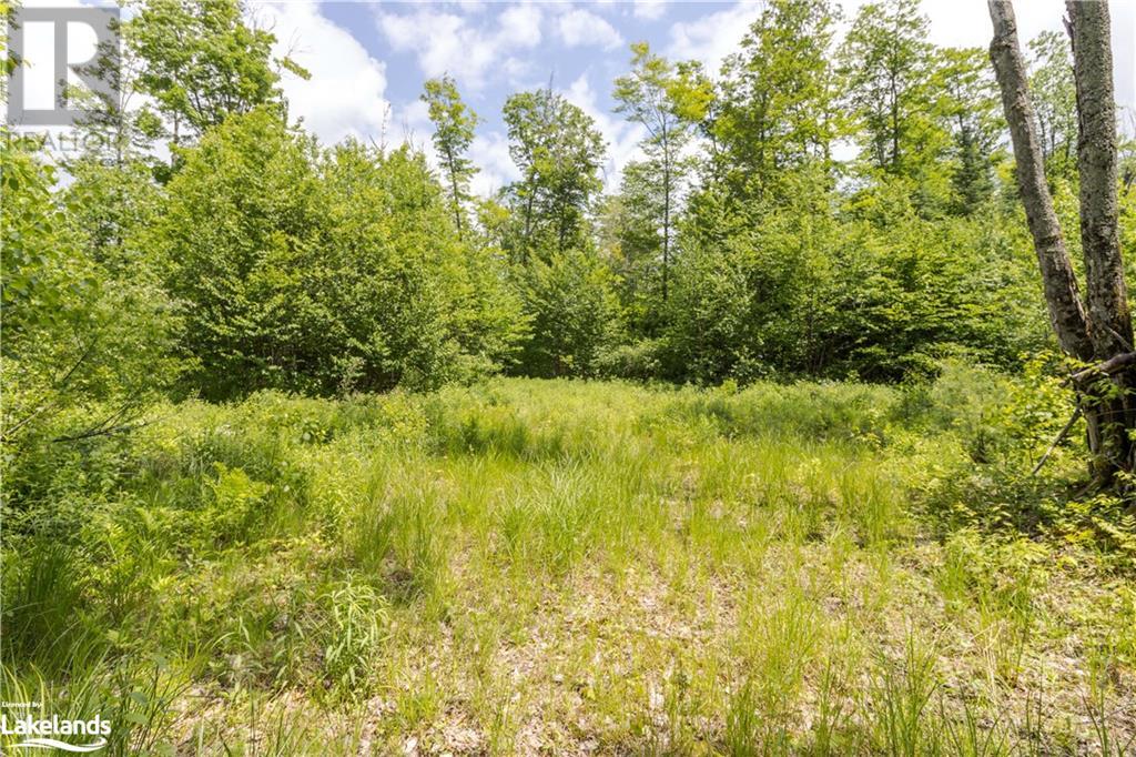 0 HALIBURTON LAKE Road