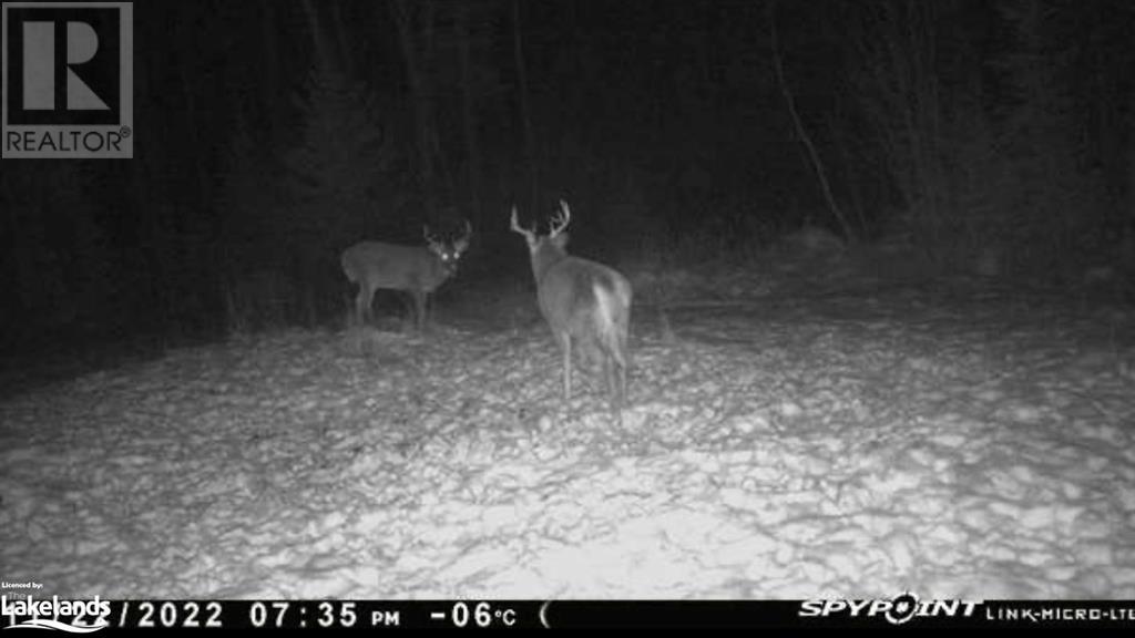 0 HALIBURTON LAKE Road