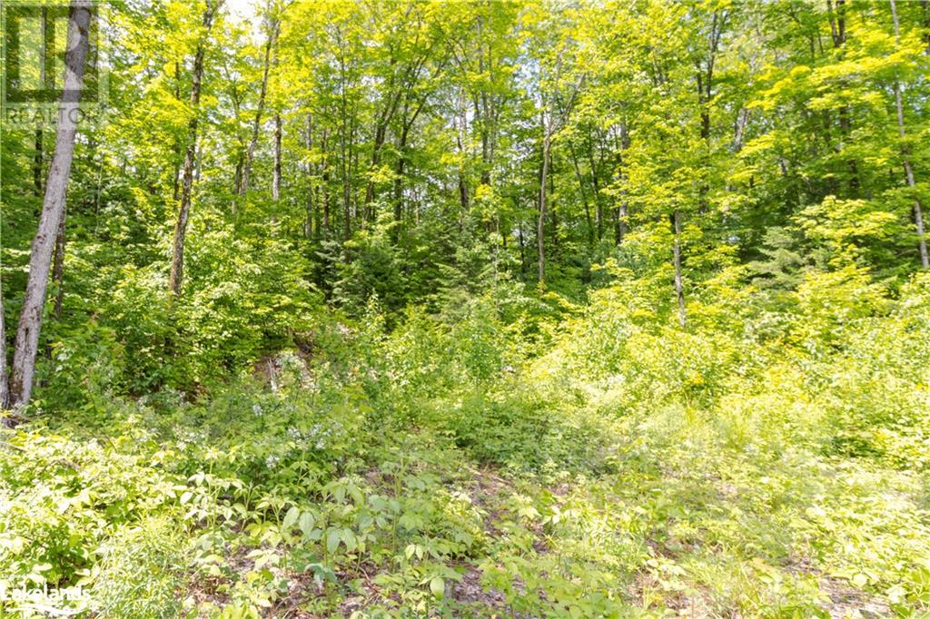 0 HALIBURTON LAKE Road