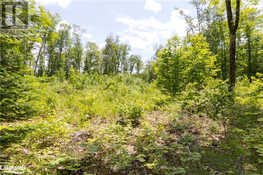 0 HALIBURTON LAKE Road