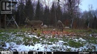 0 HALIBURTON LAKE Road