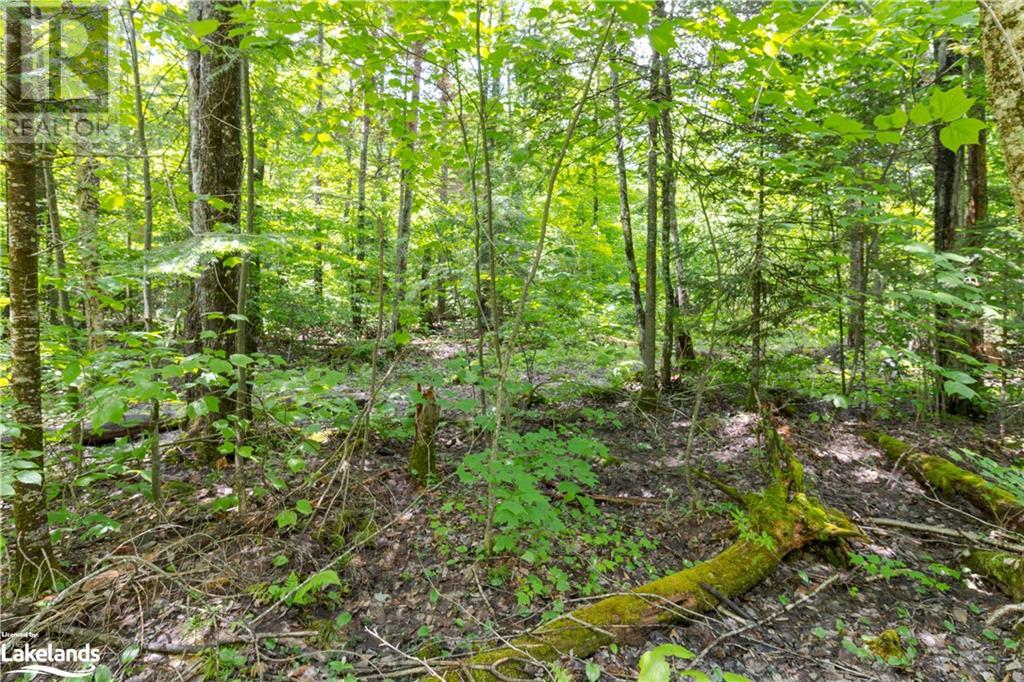 0 HALIBURTON LAKE Road