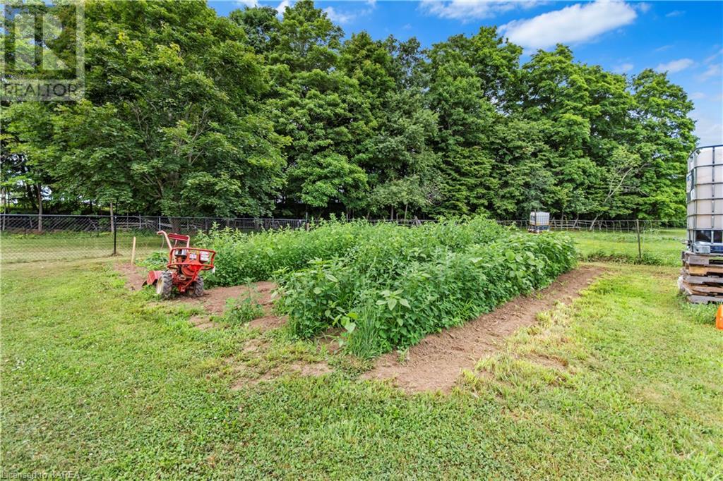 361 COUNTY ROAD 20