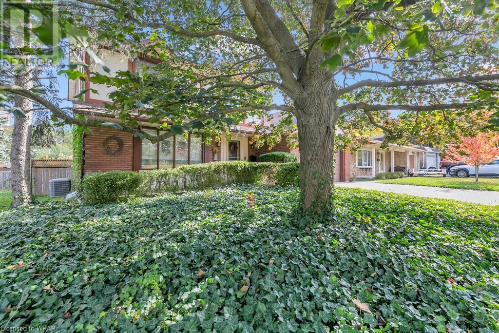 44 KELLY Drive