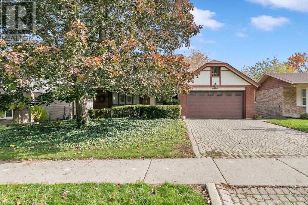 44 KELLY Drive