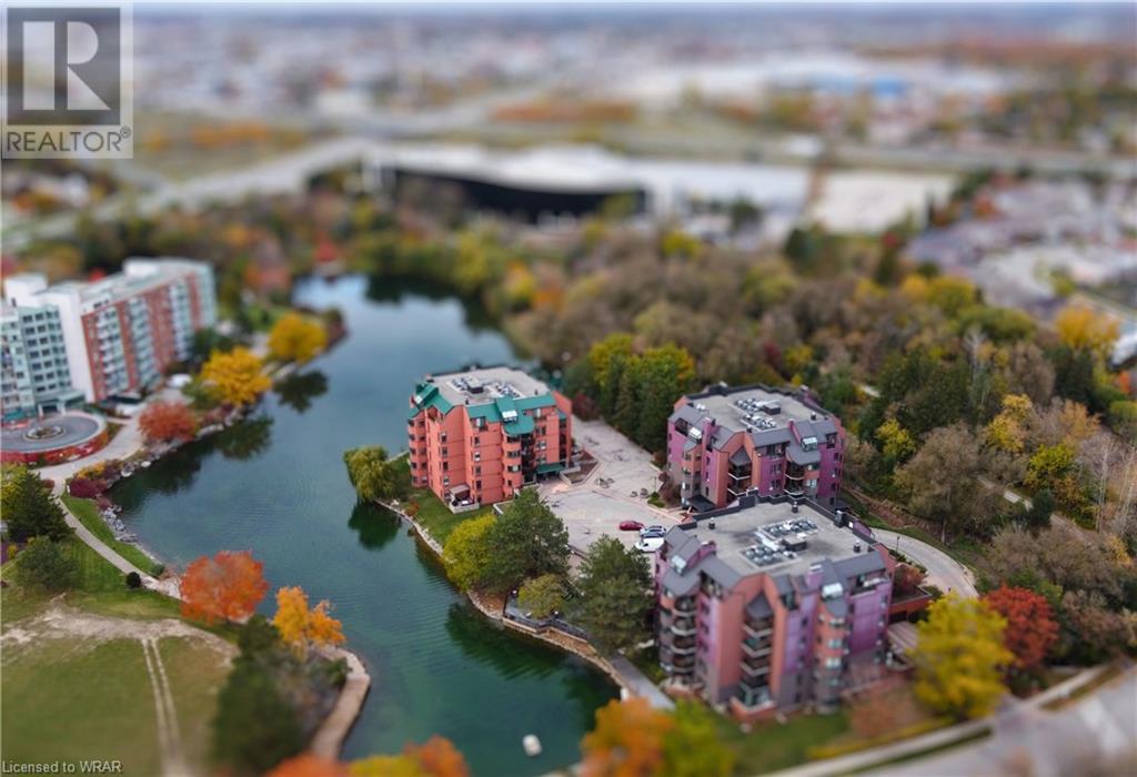 50 BLUE SPRINGS Drive Unit# 44