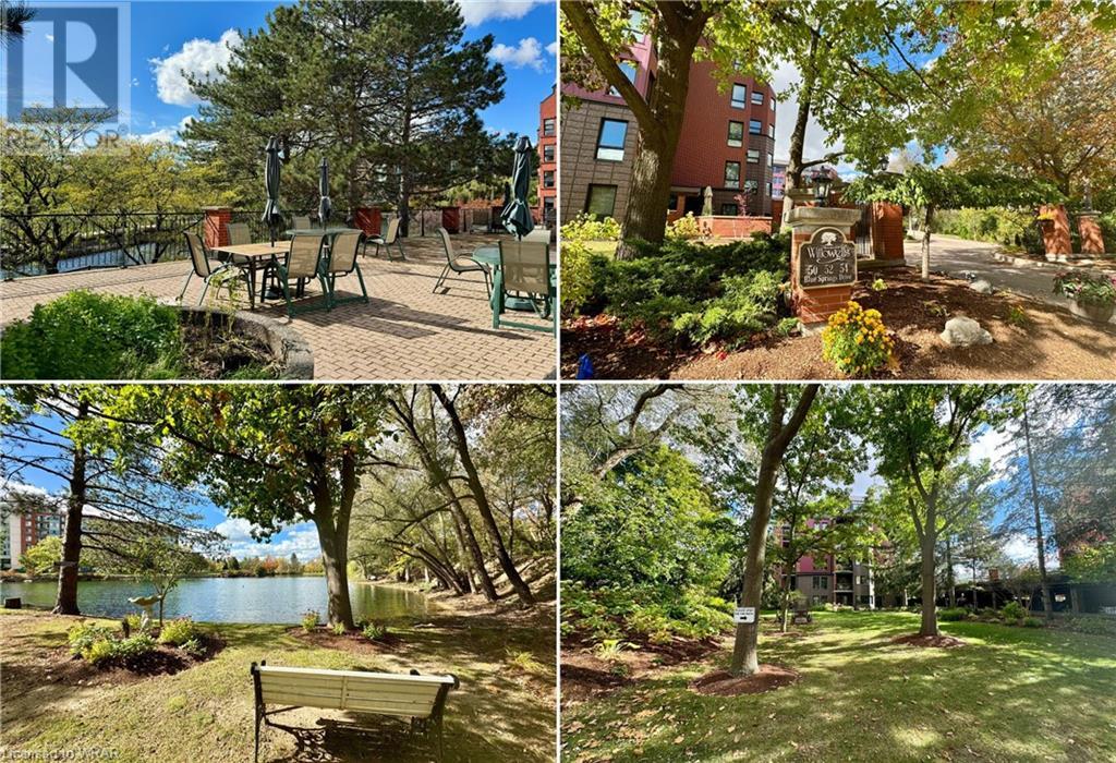 50 BLUE SPRINGS Drive Unit# 44