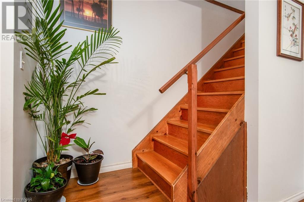15 ELMSDALE Drive