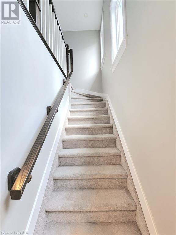 128 DR. RICHARD JAMES Crescent