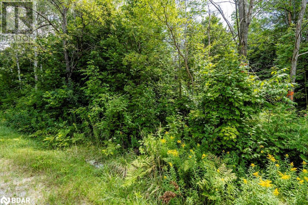 5349 30TH SIDE Road