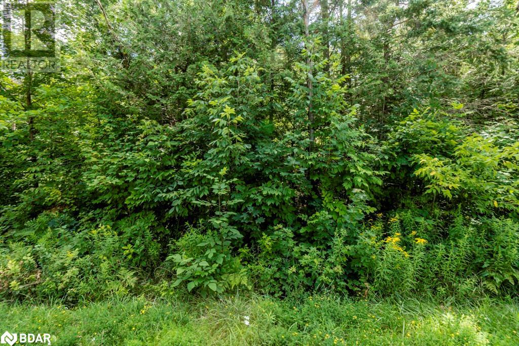 5349 30TH SIDE Road