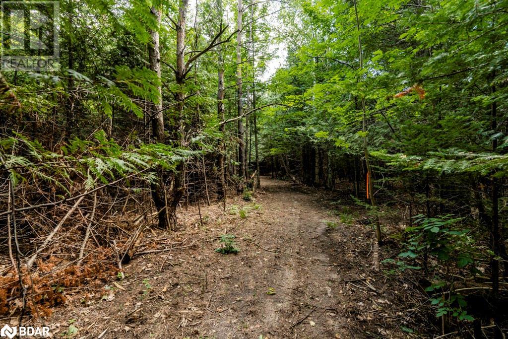 5349 30TH SIDE Road