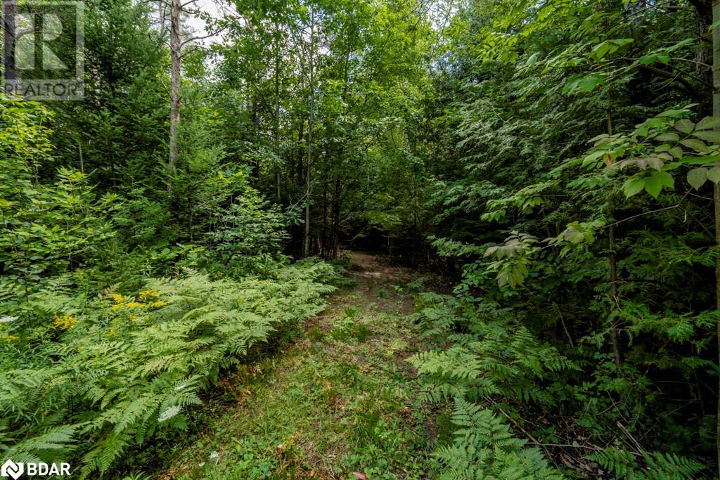 5349 30TH SIDE Road
