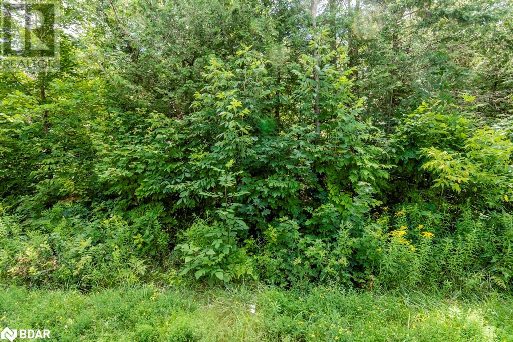 5349 30TH SIDE Road