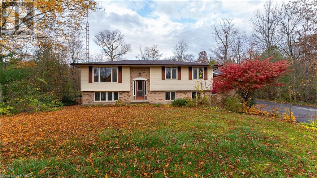 3365 SYDENHAM Road