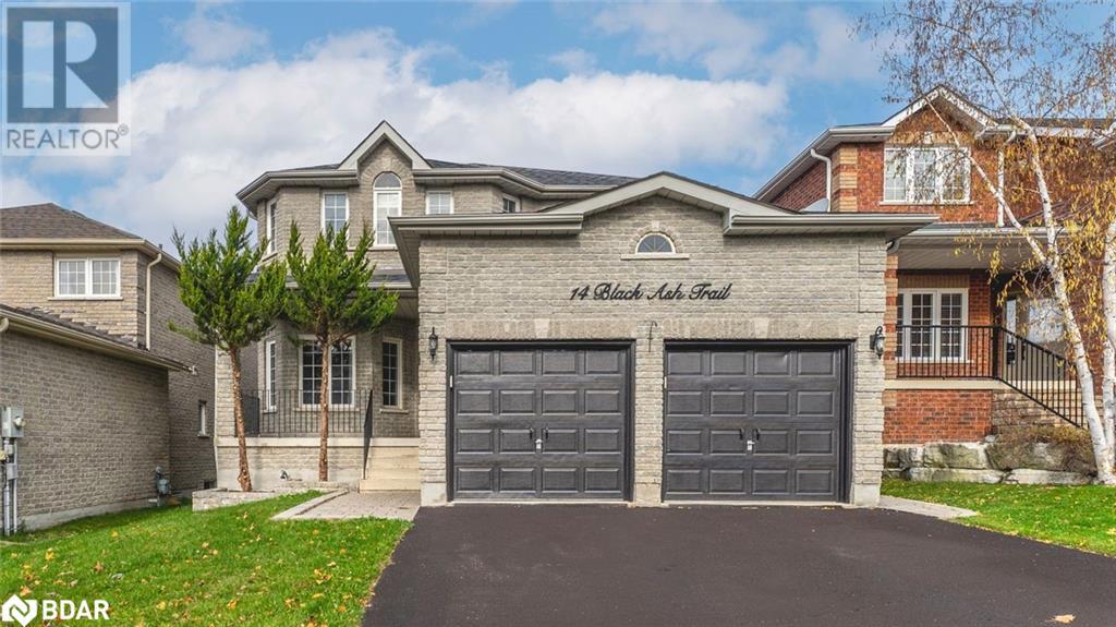 14 BLACK ASH Trail