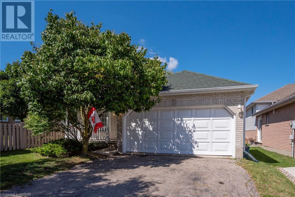 584 THORNDALE Drive