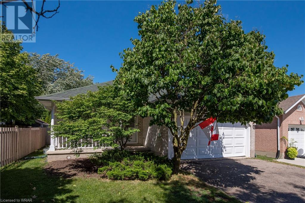 584 THORNDALE Drive
