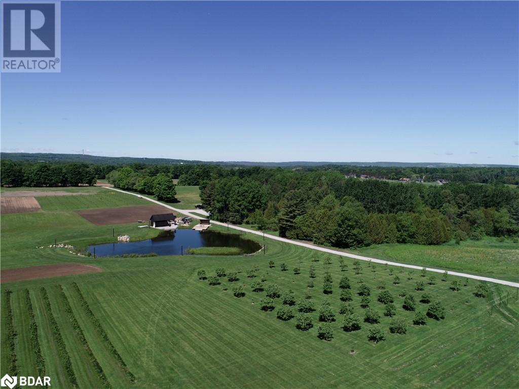 LT 225 FRIESIAN Court