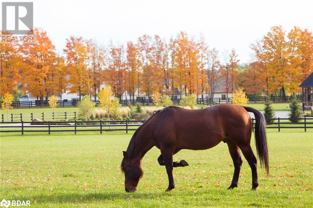 LT 38 FRIESIAN Court