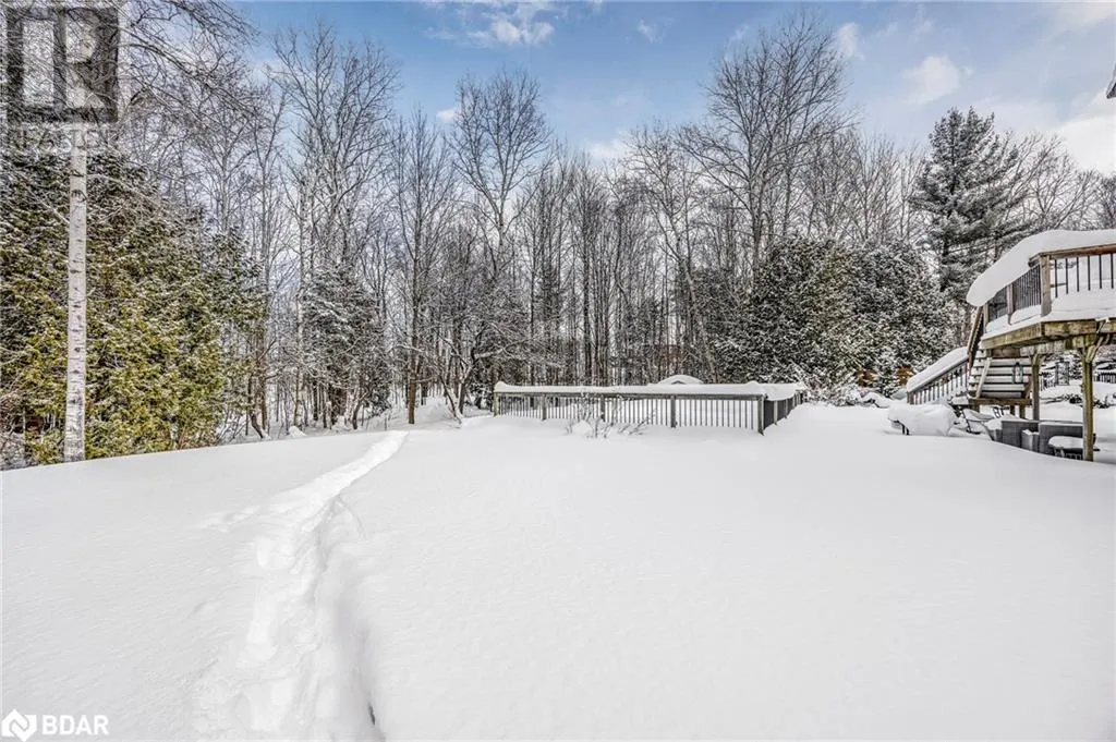 11 MAPLE Court