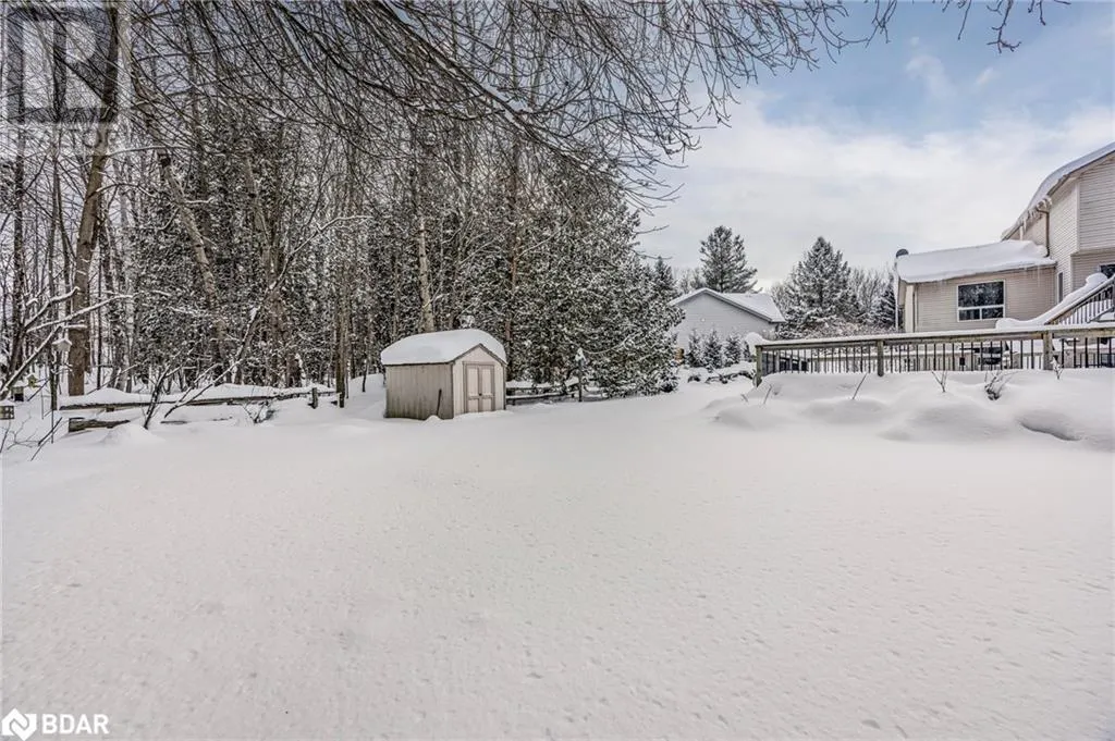 11 MAPLE Court