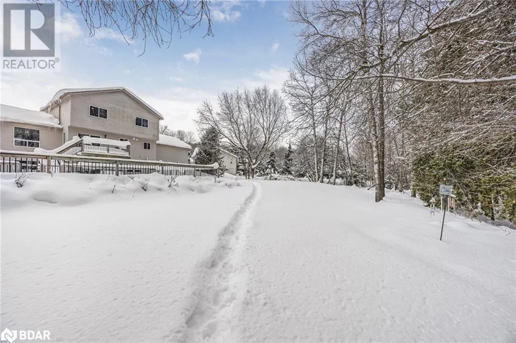 11 MAPLE Court