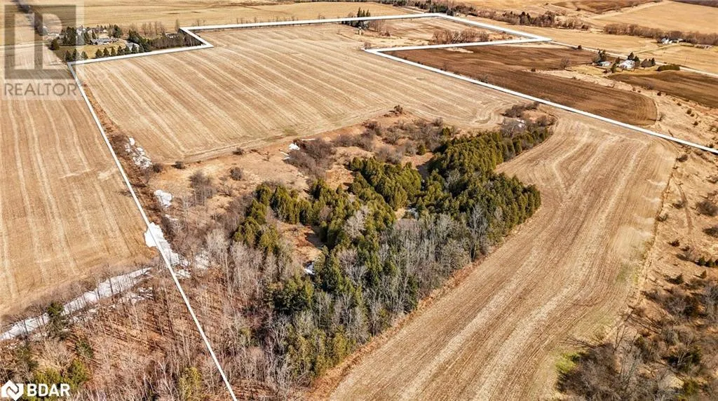 7369 5TH SIDEROAD Side Road