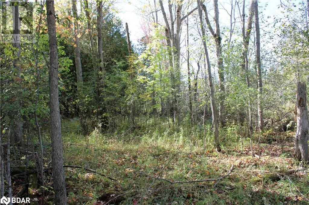 388 WOODLAND Drive