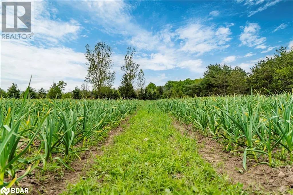 936488 DUFFERIN COUNTY ROAD 18 Road