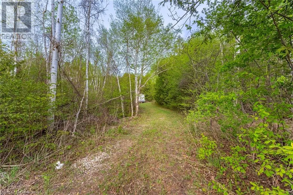4313 SIDEROAD 20