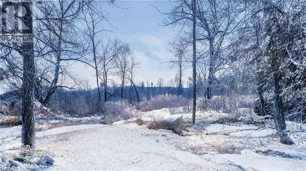 4313 SIDEROAD 20